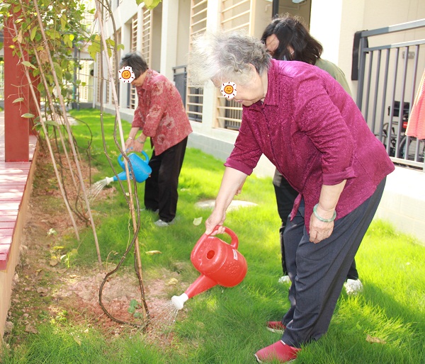 老人们悉心照料小树苗.jpg